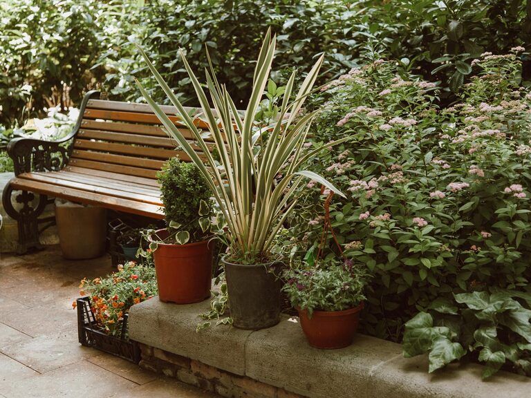 Tips for Creating a Relaxing Garden Space at Home