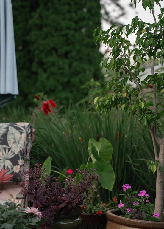 Tips for Creating a Relaxing Garden Space at Home