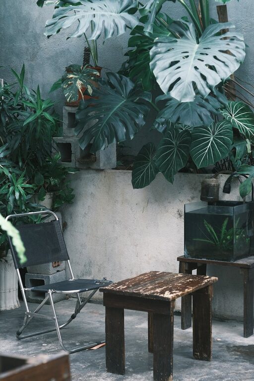 Tips for Creating a Relaxing Garden Space at Home